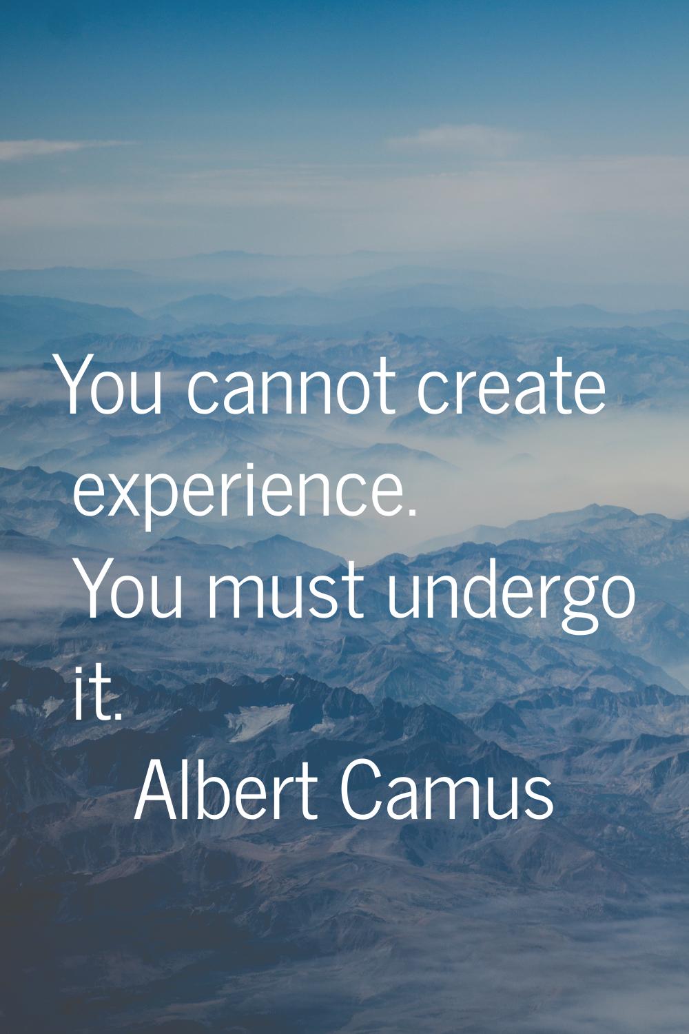 You cannot create experience. You must undergo it.
