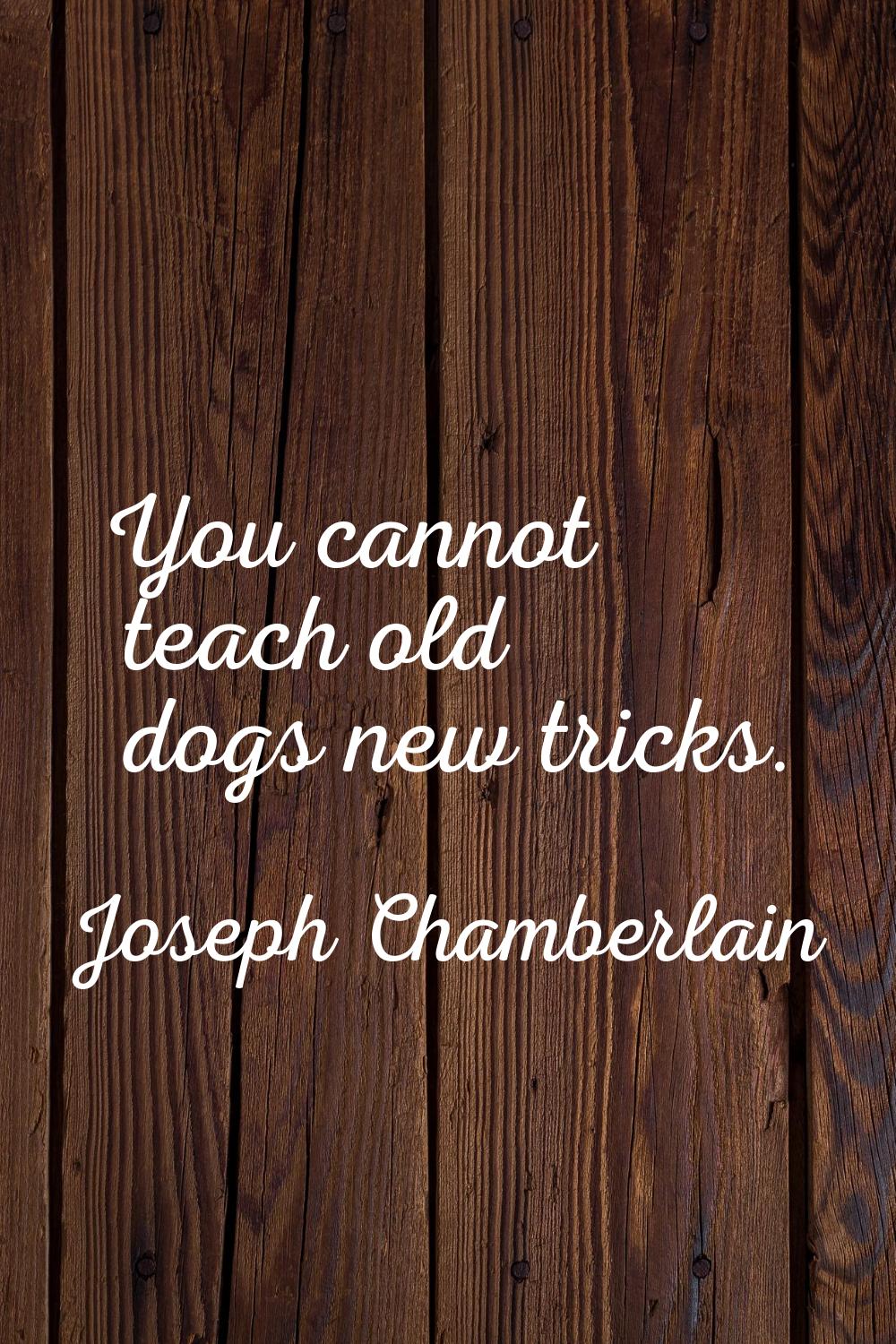 You cannot teach old dogs new tricks.