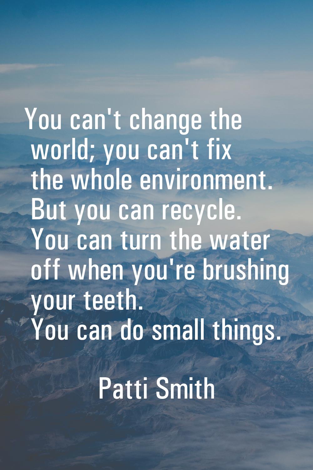 You can't change the world; you can't fix the whole environment. But you can recycle. You can turn 