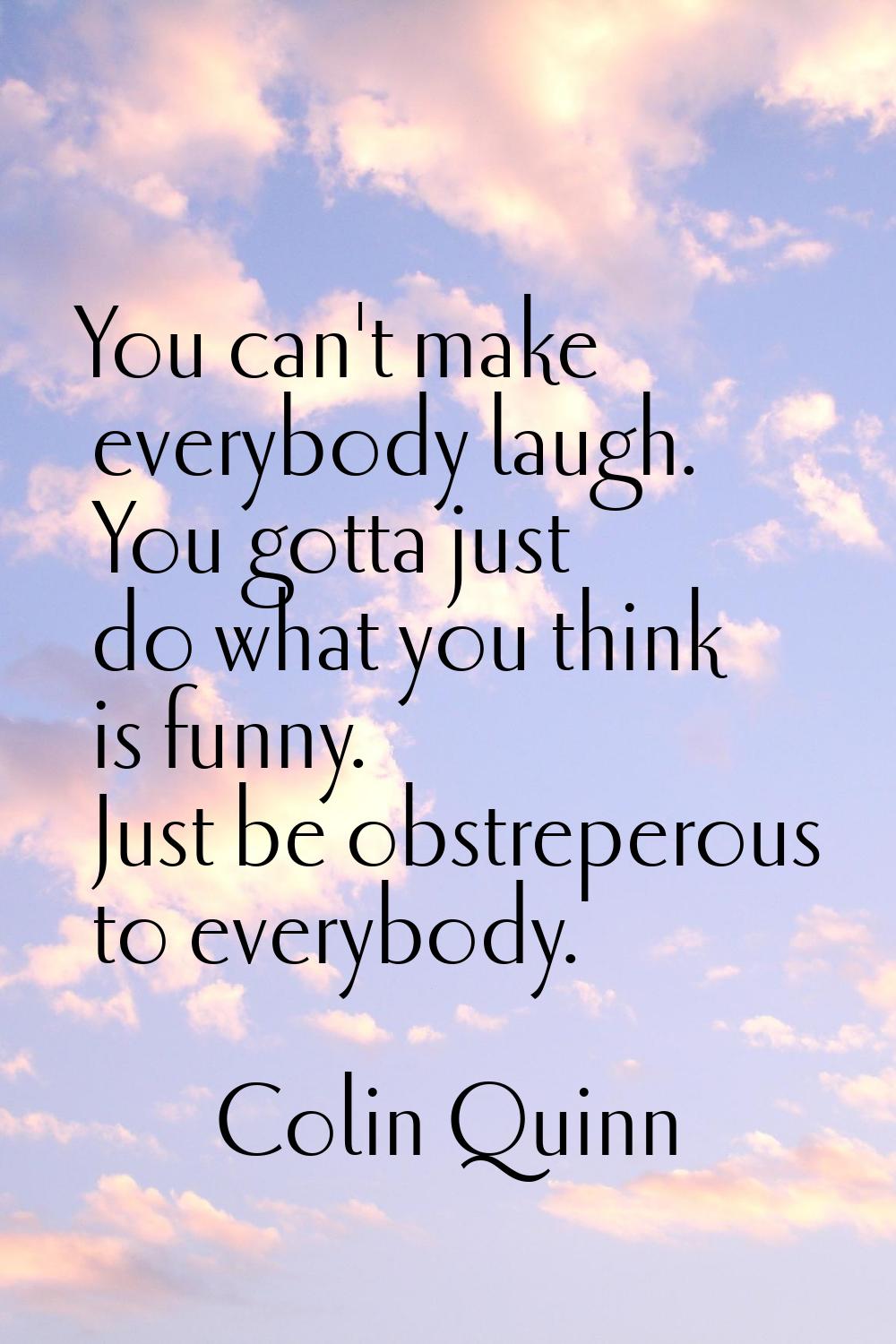 You can't make everybody laugh. You gotta just do what you think is funny. Just be obstreperous to 