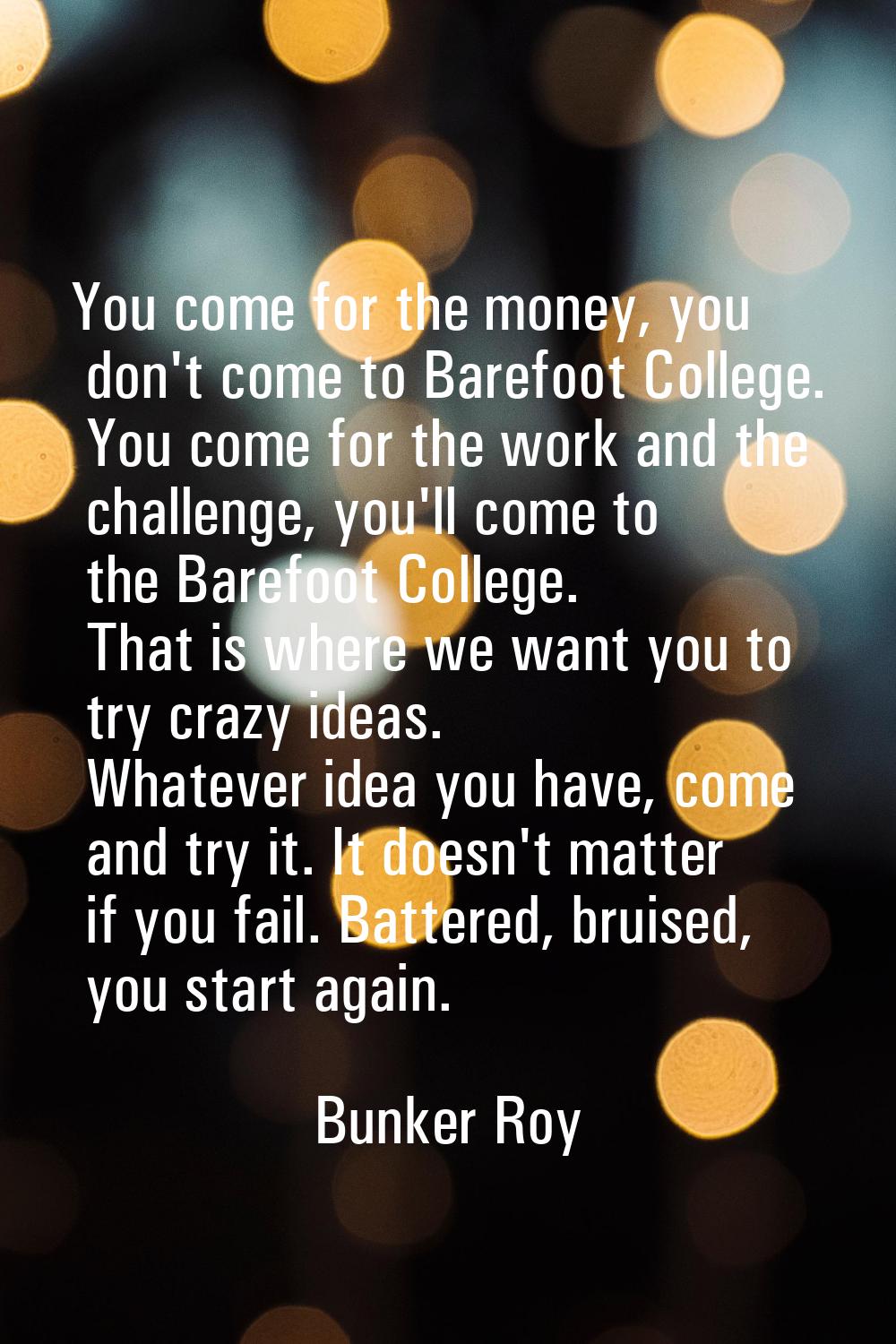 You come for the money, you don't come to Barefoot College. You come for the work and the challenge