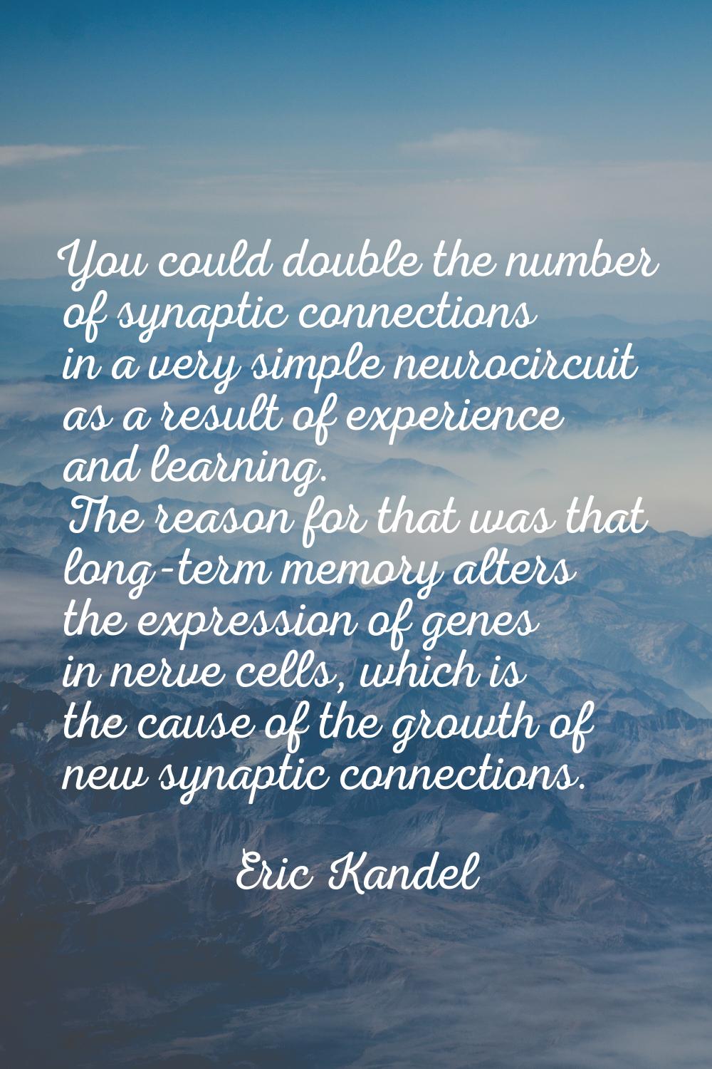 You could double the number of synaptic connections in a very simple neurocircuit as a result of ex