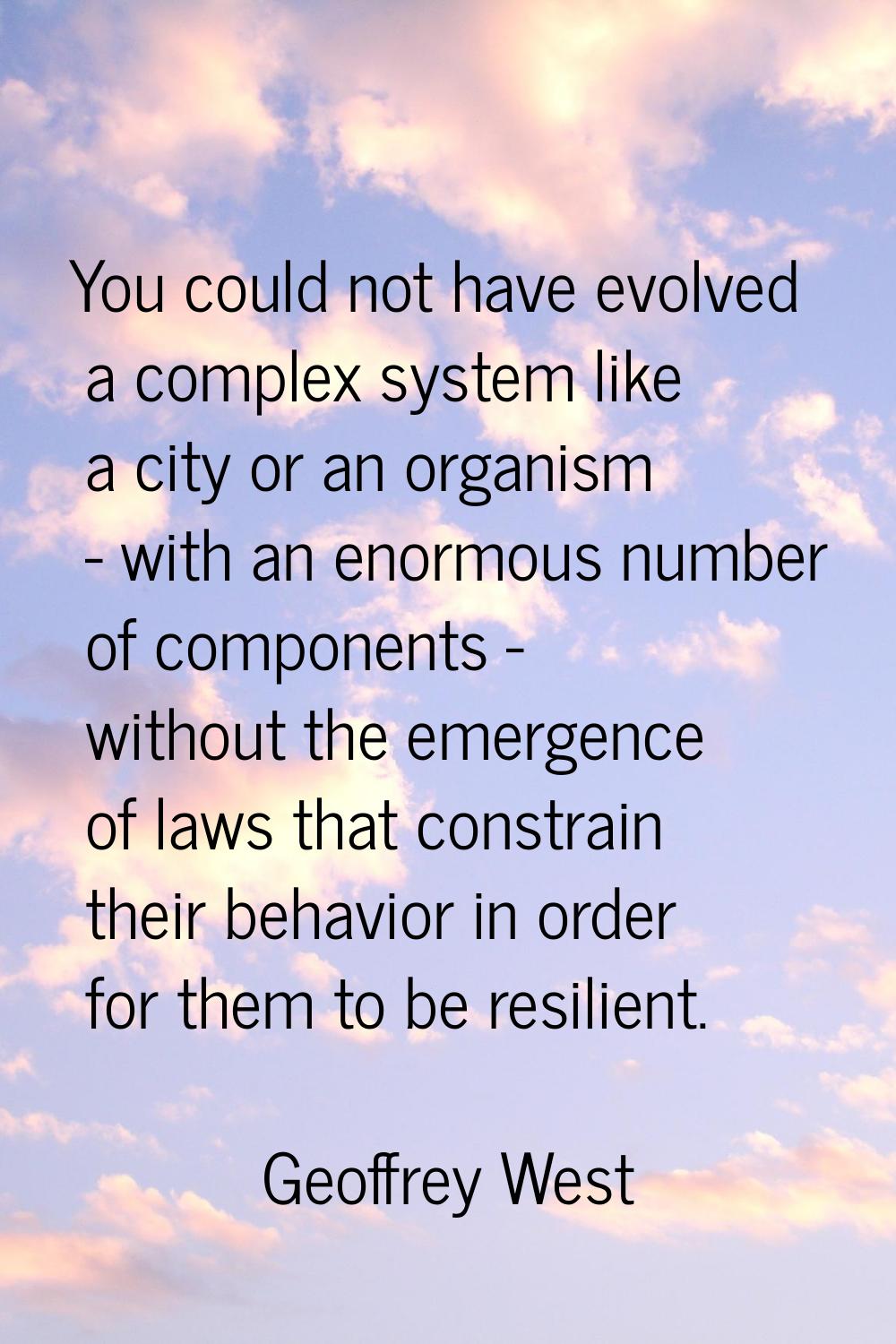 You could not have evolved a complex system like a city or an organism - with an enormous number of