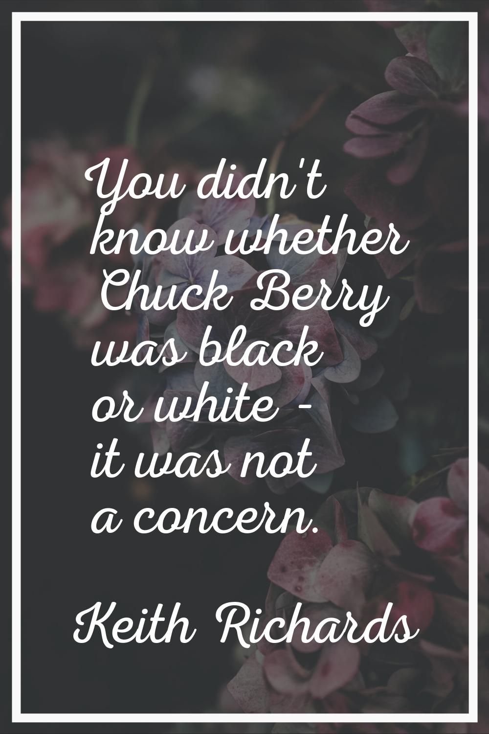 You didn't know whether Chuck Berry was black or white - it was not a concern.