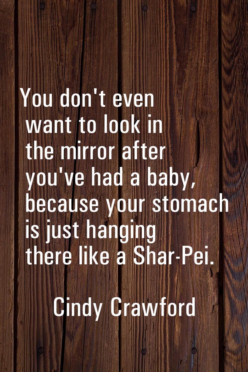You don't even want to look in the mirror after you've had a baby, because your stomach is just han