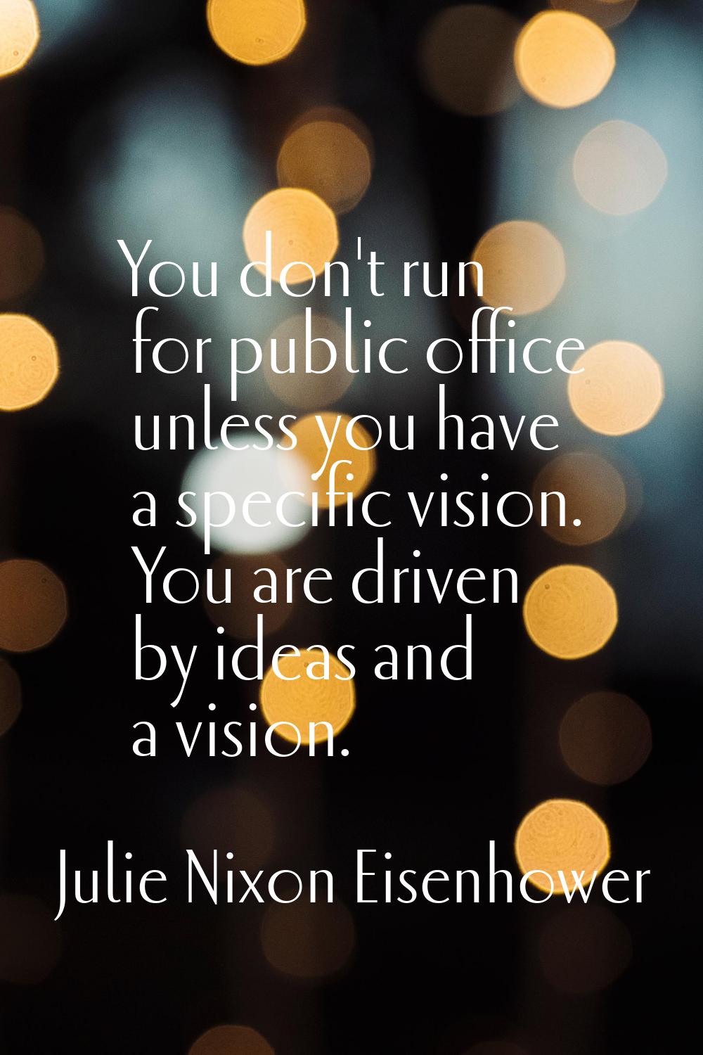 You don't run for public office unless you have a specific vision. You are driven by ideas and a vi
