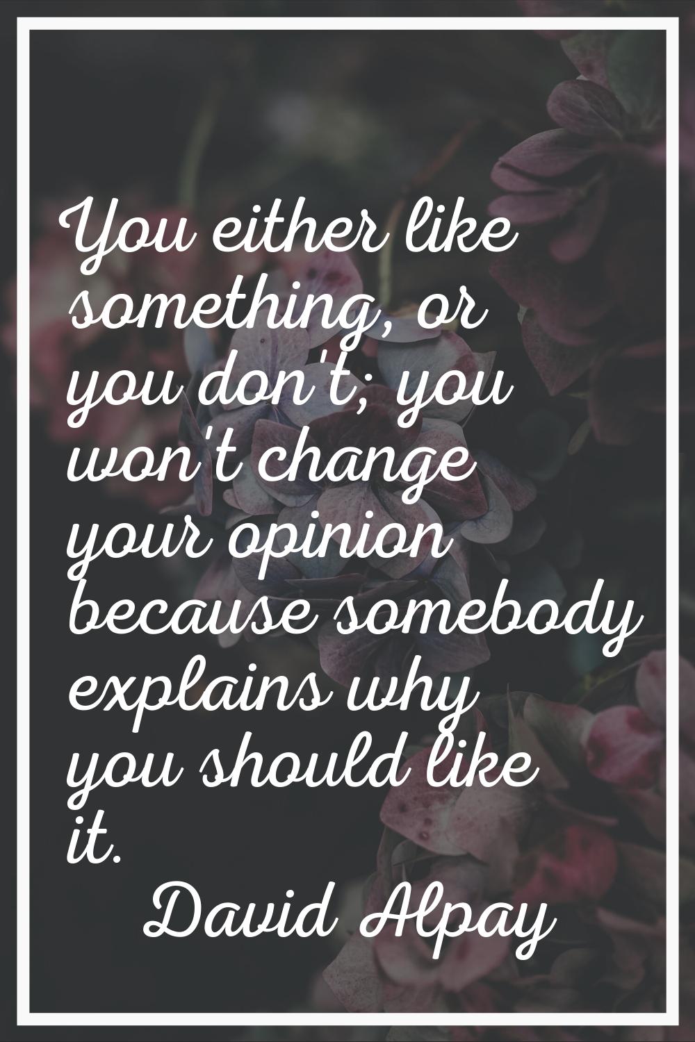You either like something, or you don't; you won't change your opinion because somebody explains wh