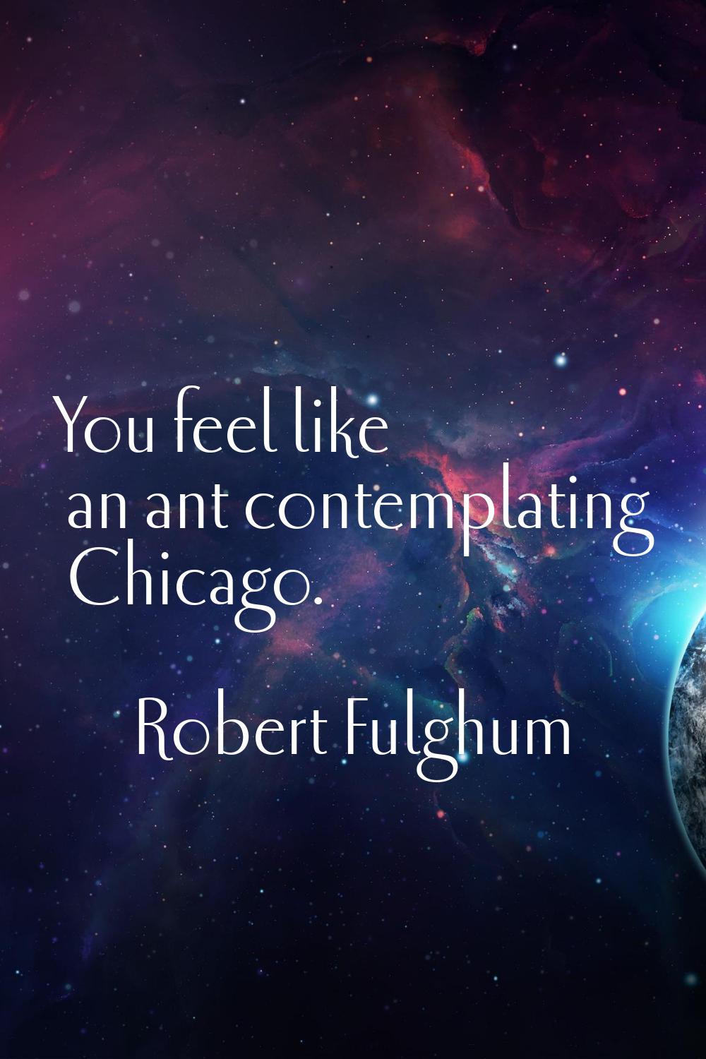 You feel like an ant contemplating Chicago.