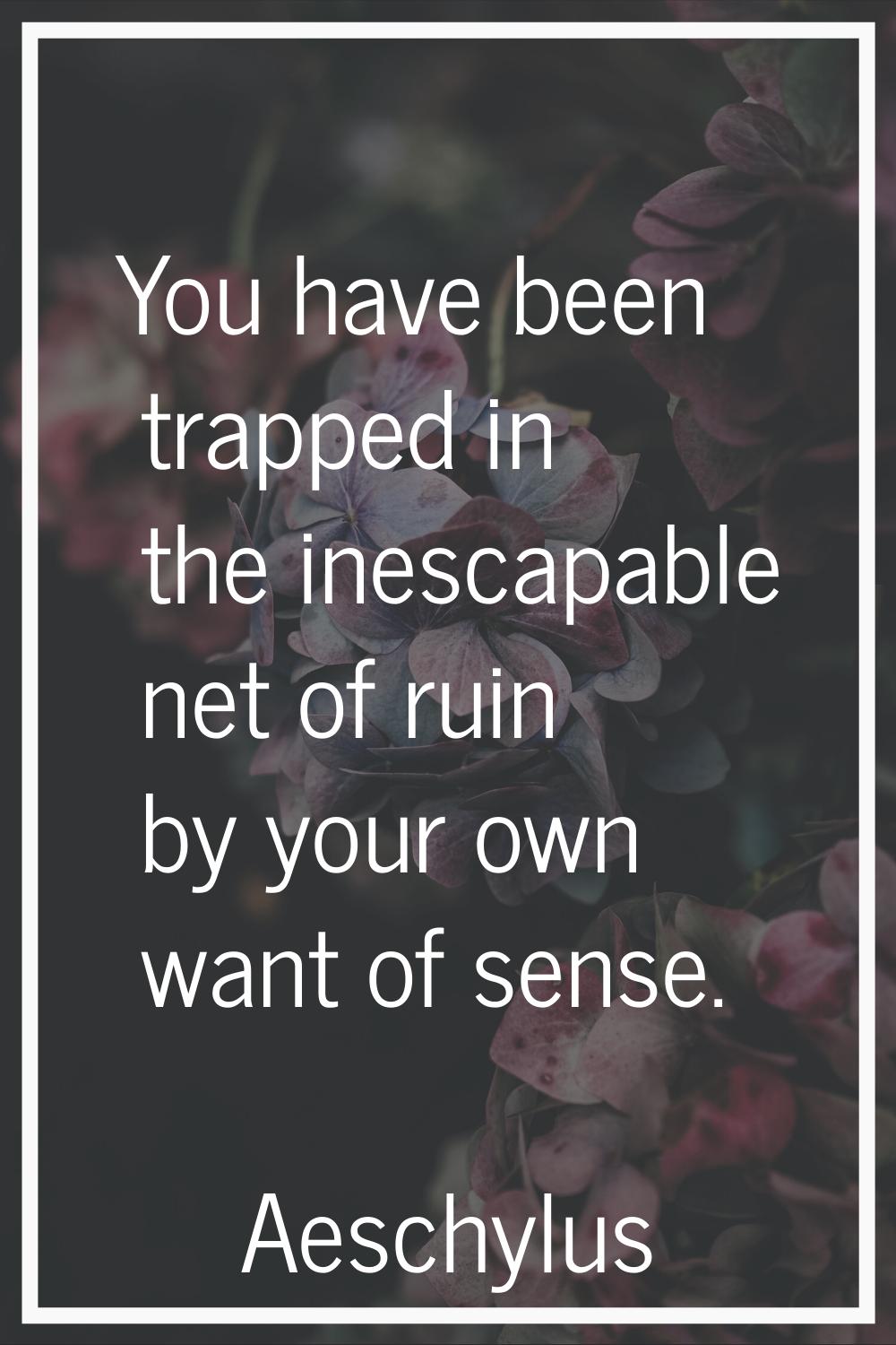 You have been trapped in the inescapable net of ruin by your own want of sense.