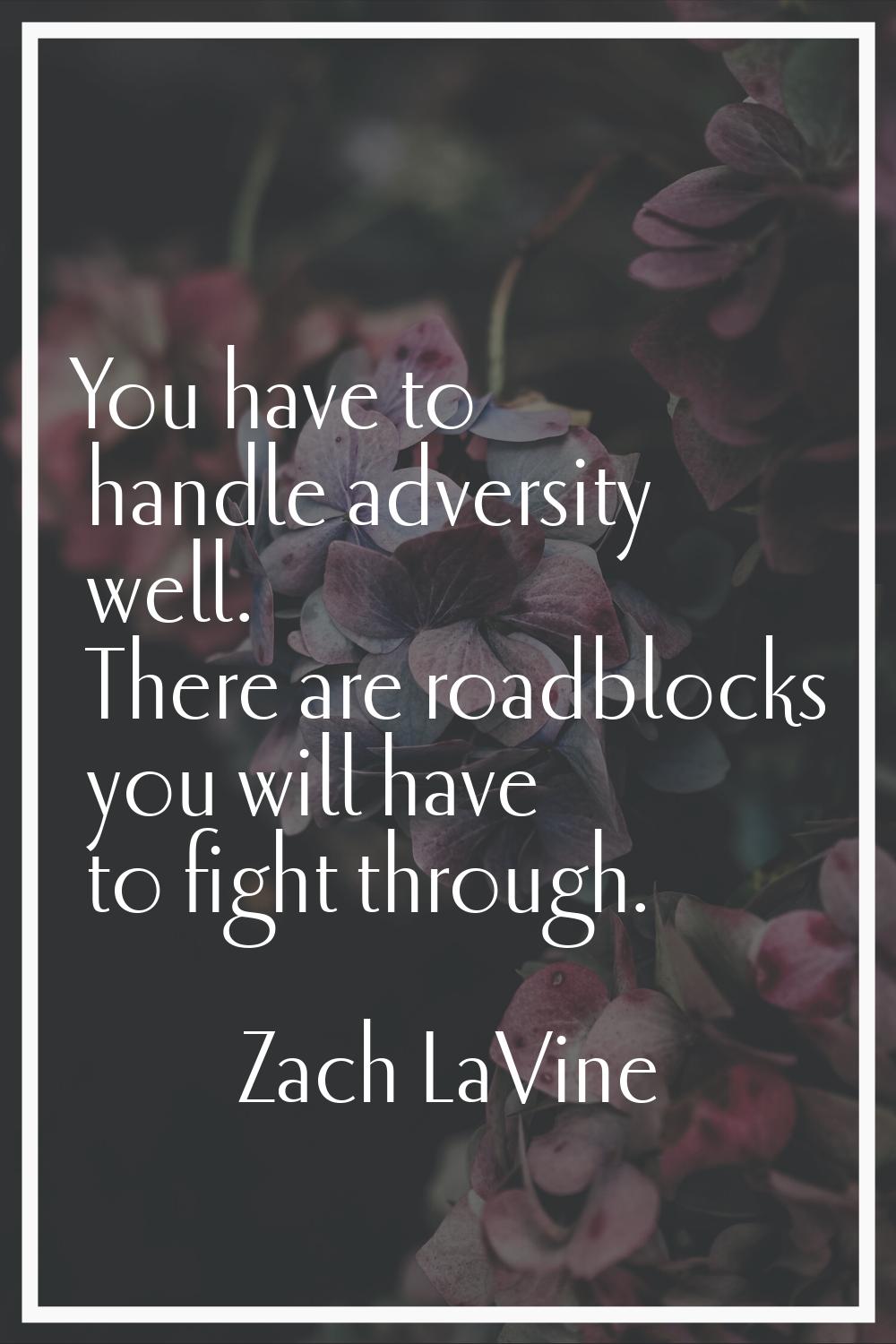 You have to handle adversity well. There are roadblocks you will have to fight through.