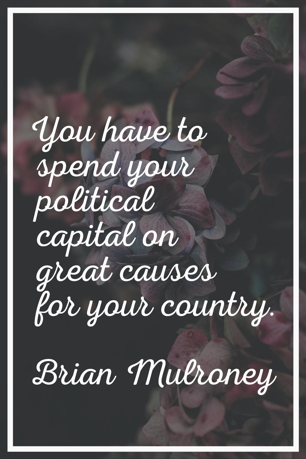 You have to spend your political capital on great causes for your country.
