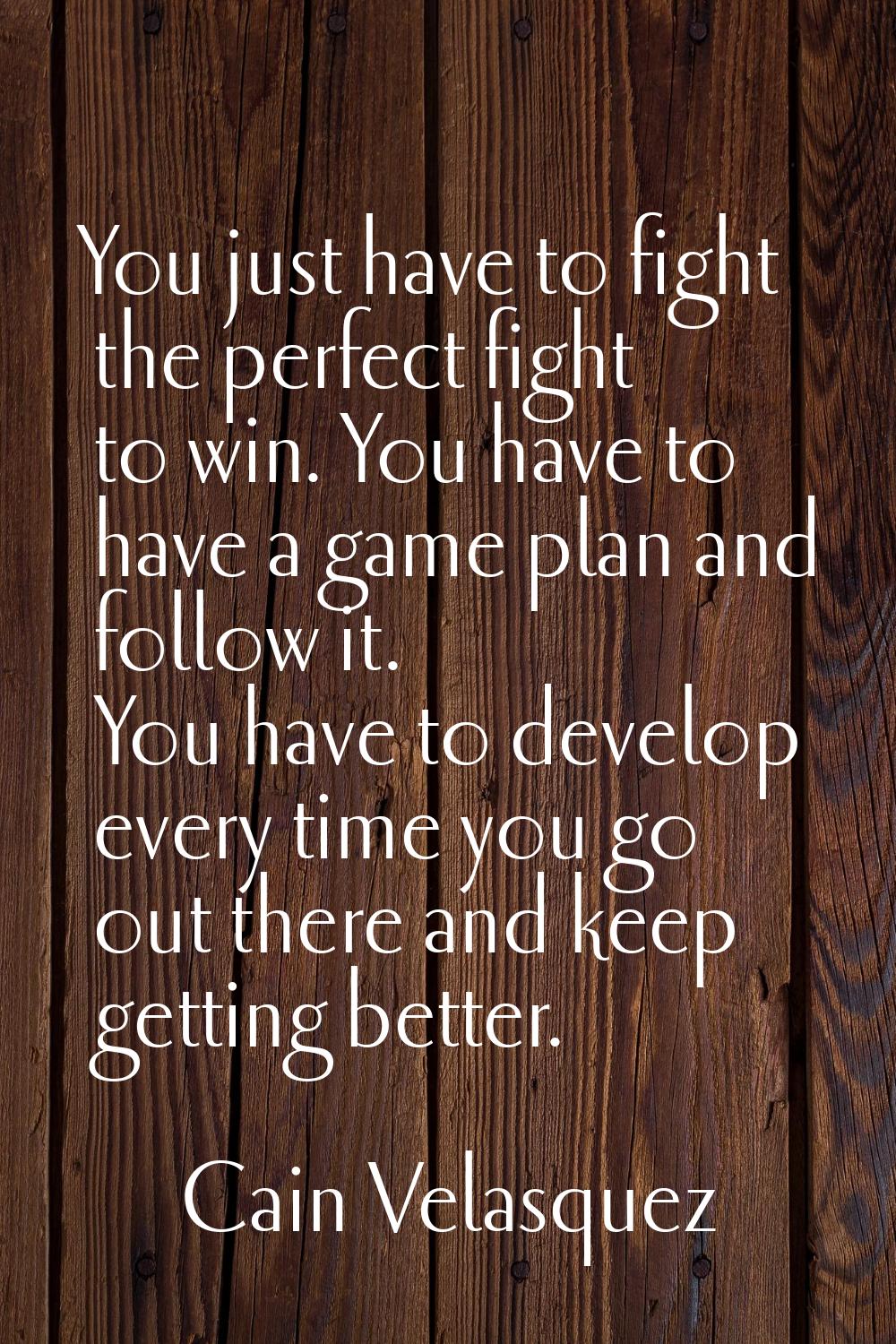 You just have to fight the perfect fight to win. You have to have a game plan and follow it. You ha