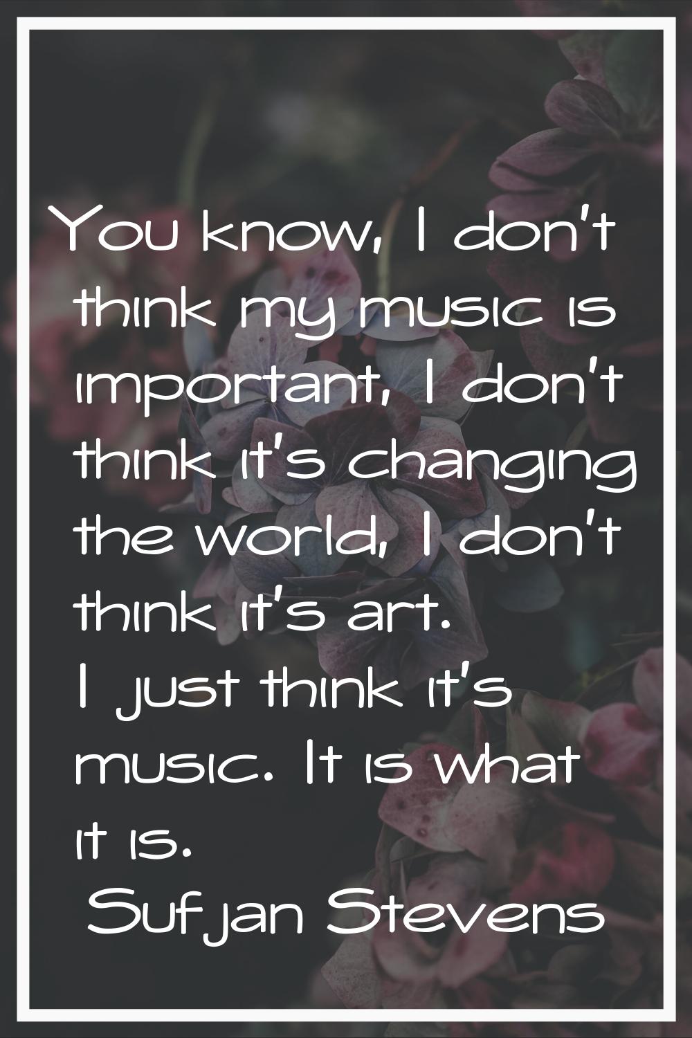 You know, I don't think my music is important, I don't think it's changing the world, I don't think