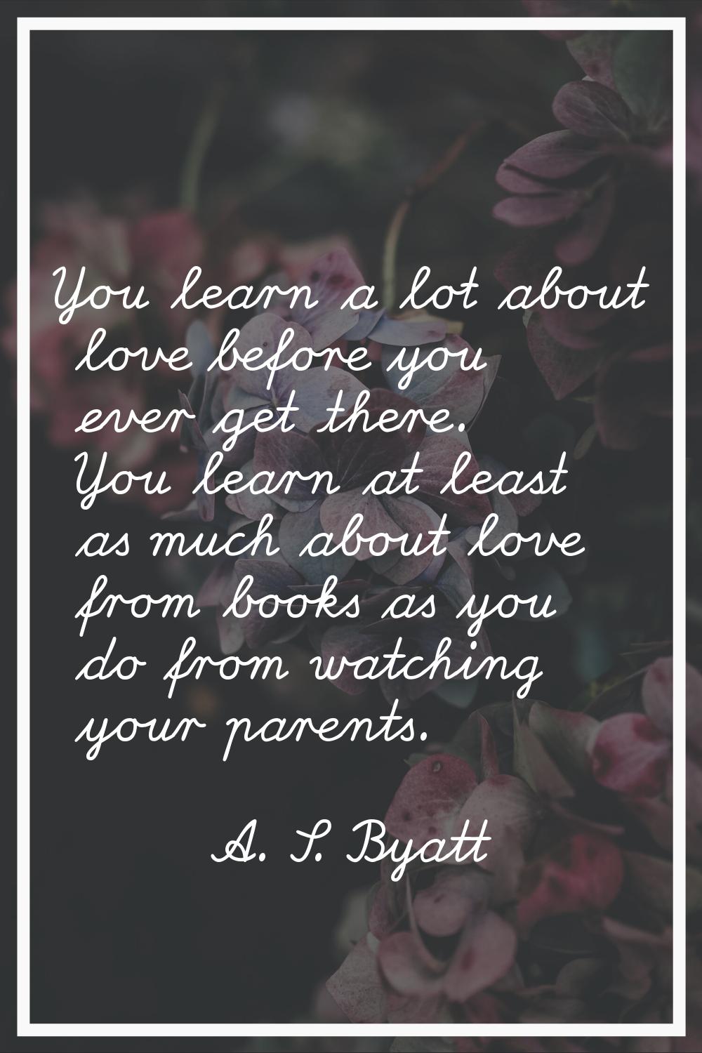 You learn a lot about love before you ever get there. You learn at least as much about love from bo