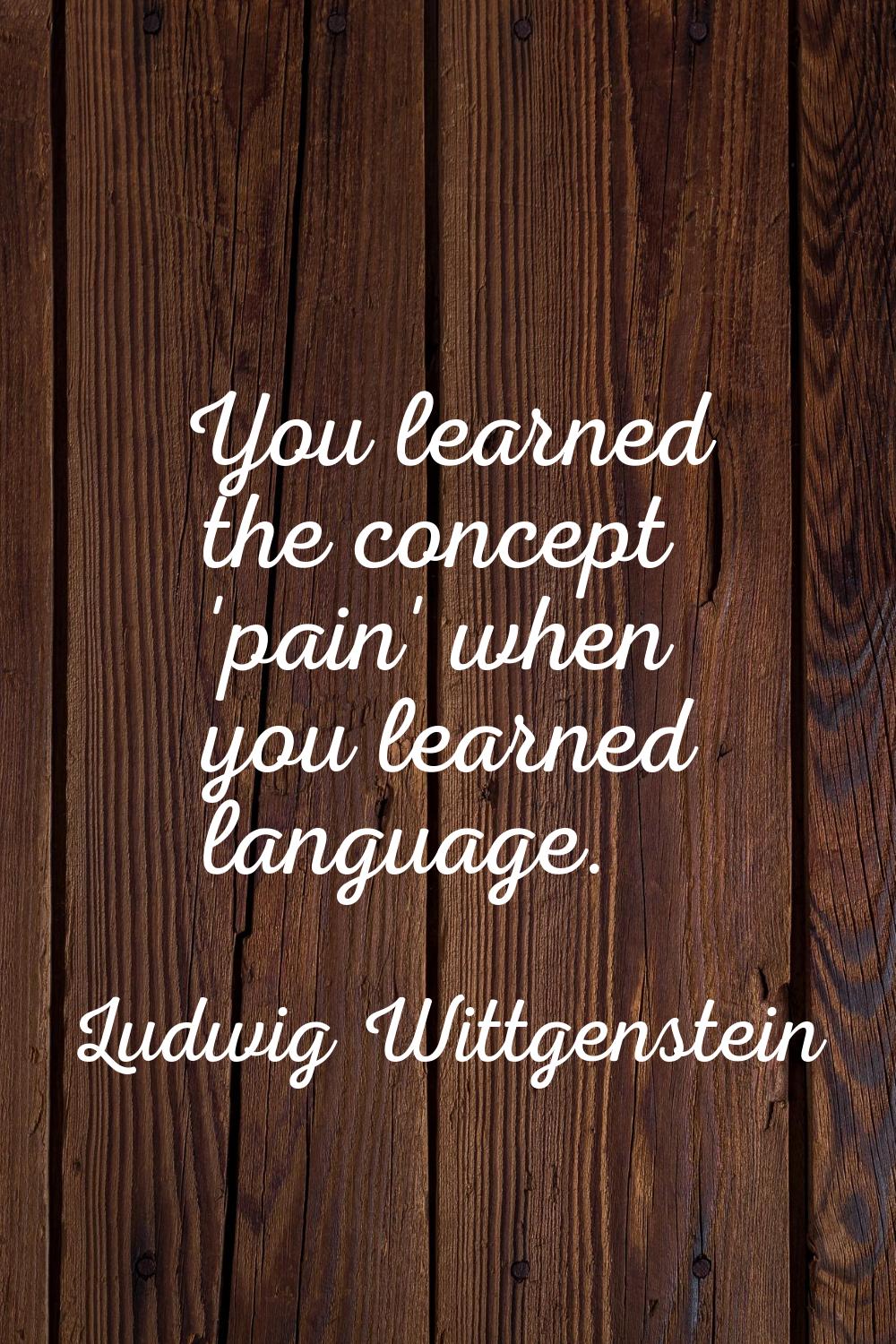 You learned the concept 'pain' when you learned language.