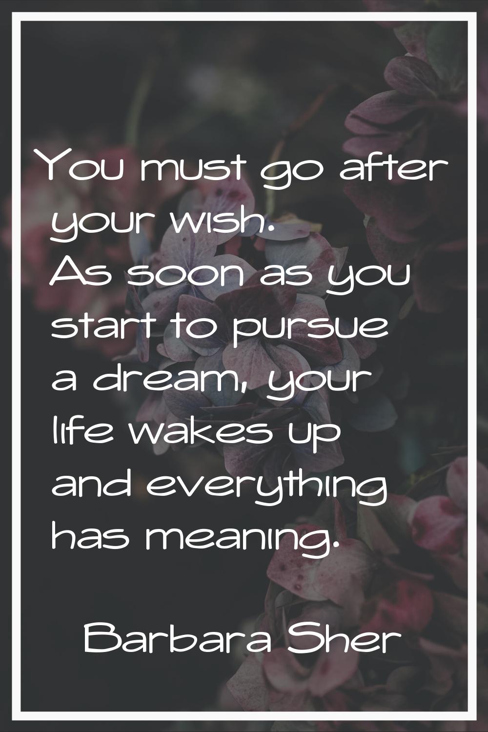 You must go after your wish. As soon as you start to pursue a dream, your life wakes up and everyth