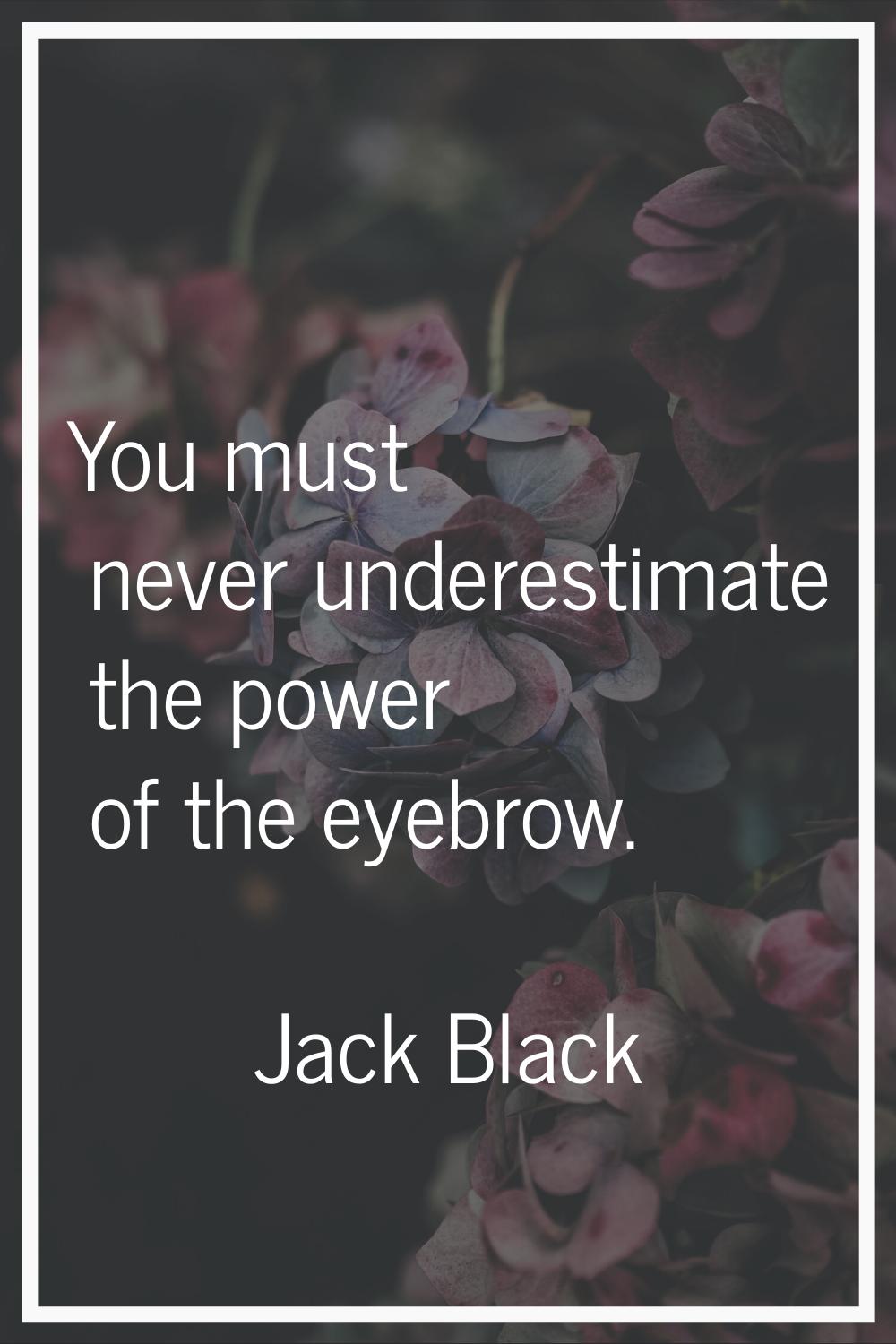 You must never underestimate the power of the eyebrow.