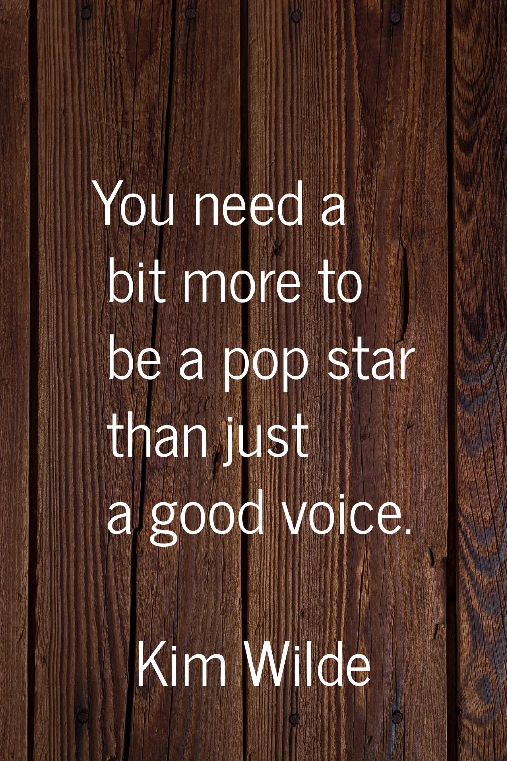You need a bit more to be a pop star than just a good voice.
