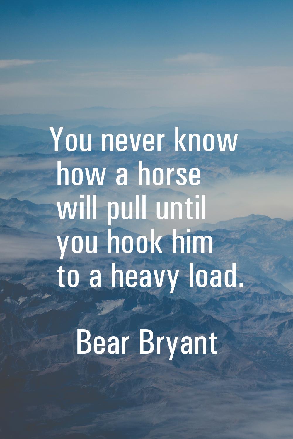 You never know how a horse will pull until you hook him to a heavy load.