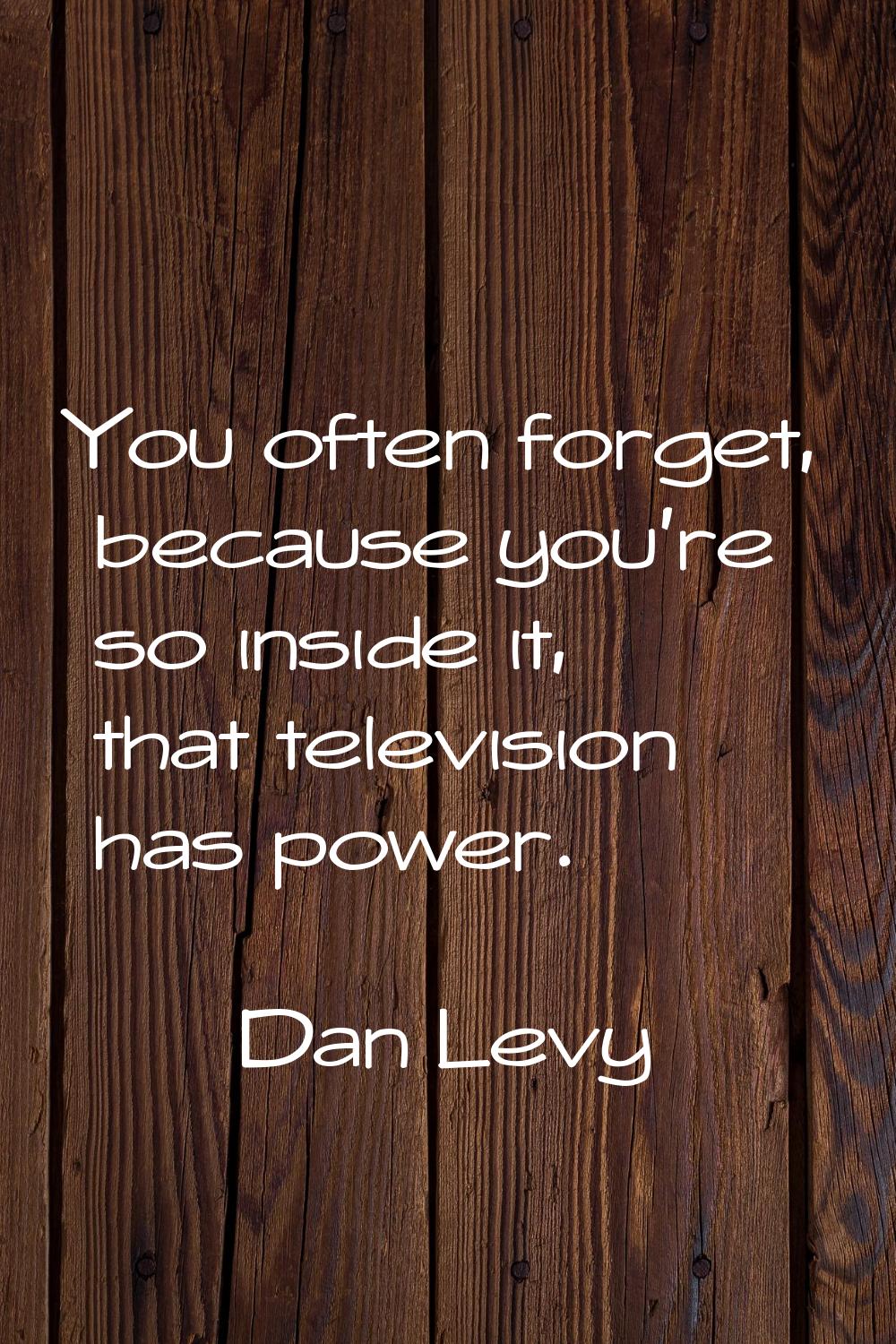 You often forget, because you're so inside it, that television has power.