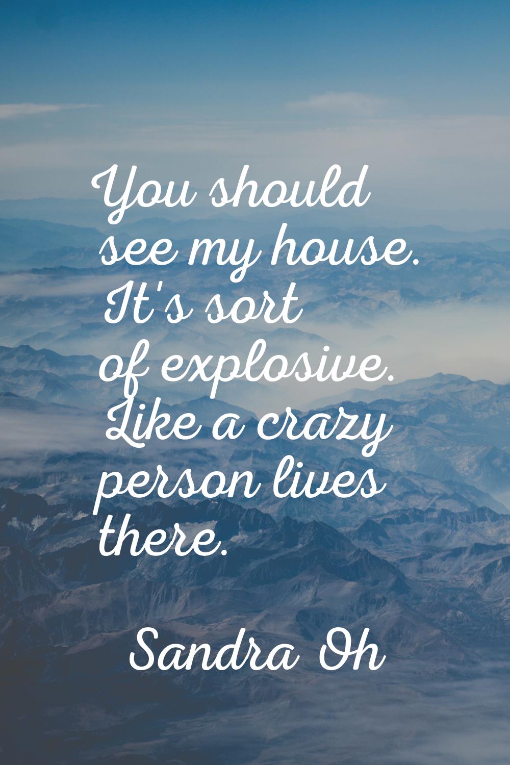 You should see my house. It's sort of explosive. Like a crazy person lives there.