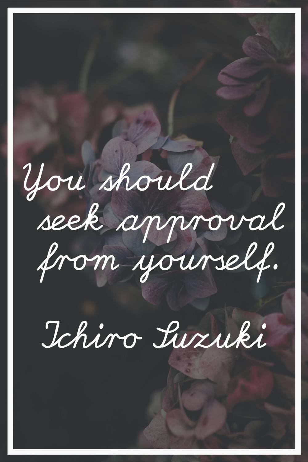You should seek approval from yourself.