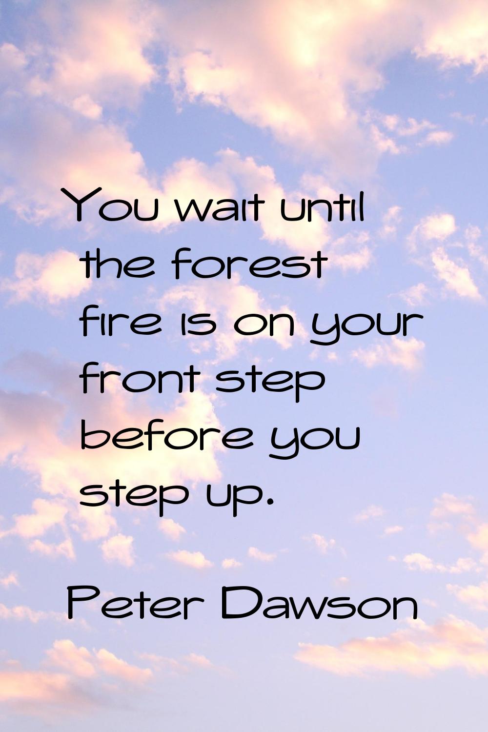 You wait until the forest fire is on your front step before you step up.
