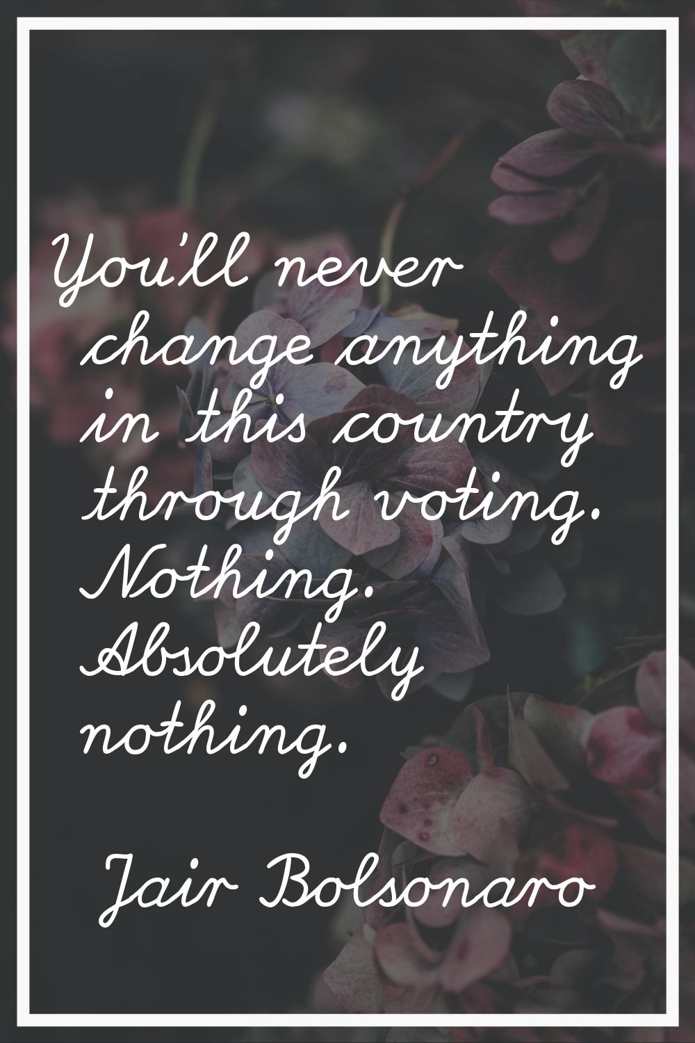 You'll never change anything in this country through voting. Nothing. Absolutely nothing.