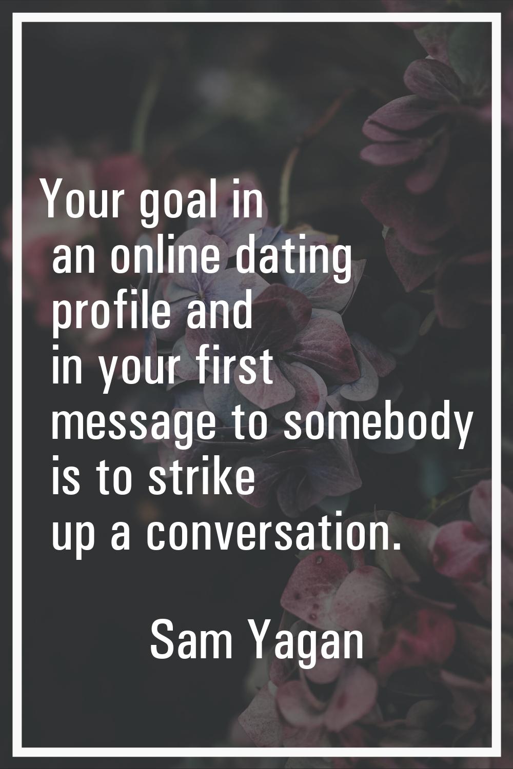Your goal in an online dating profile and in your first message to somebody is to strike up a conve
