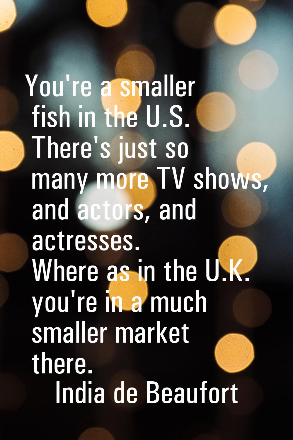 You're a smaller fish in the U.S. There's just so many more TV shows, and actors, and actresses. Wh