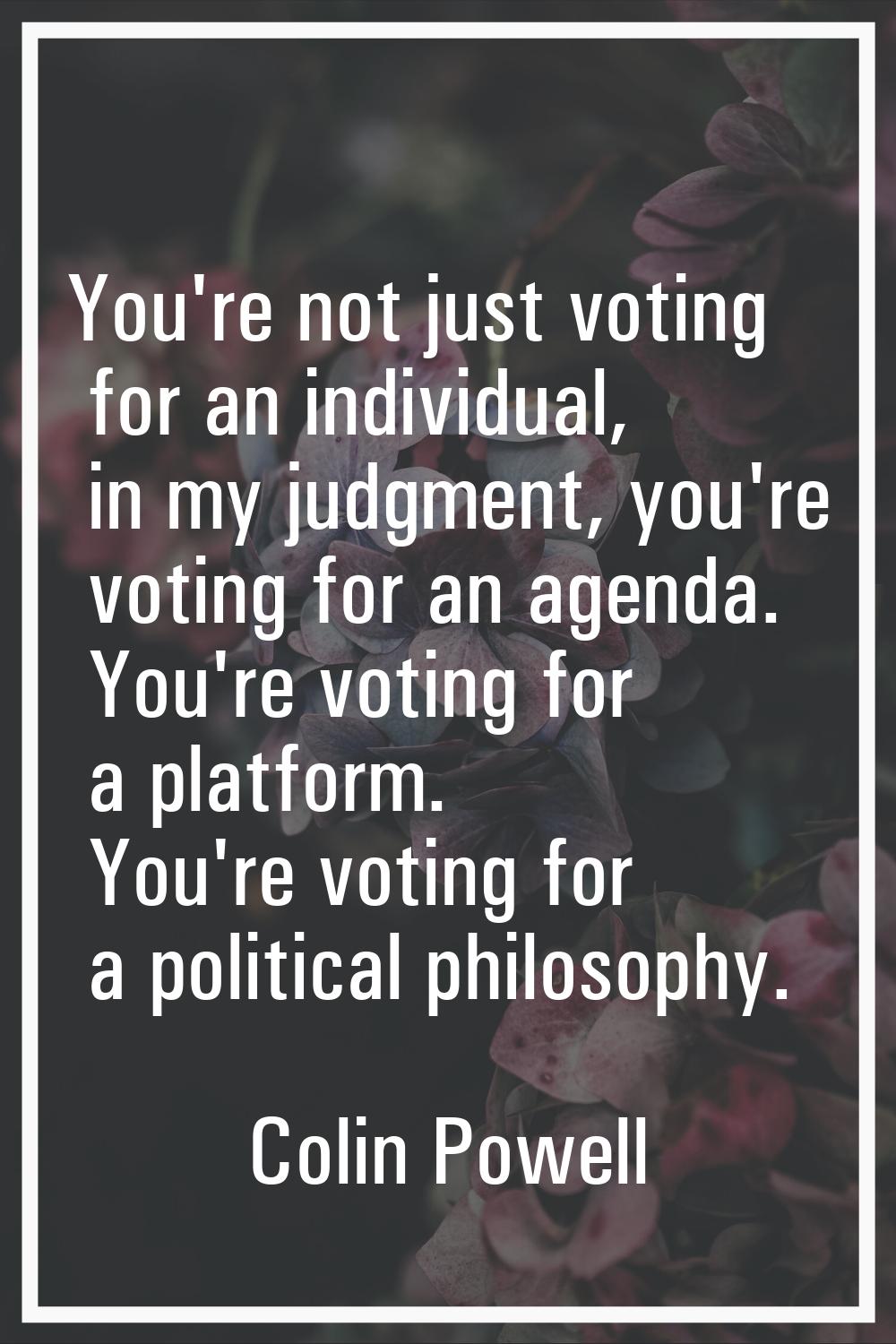 You're not just voting for an individual, in my judgment, you're voting for an agenda. You're votin