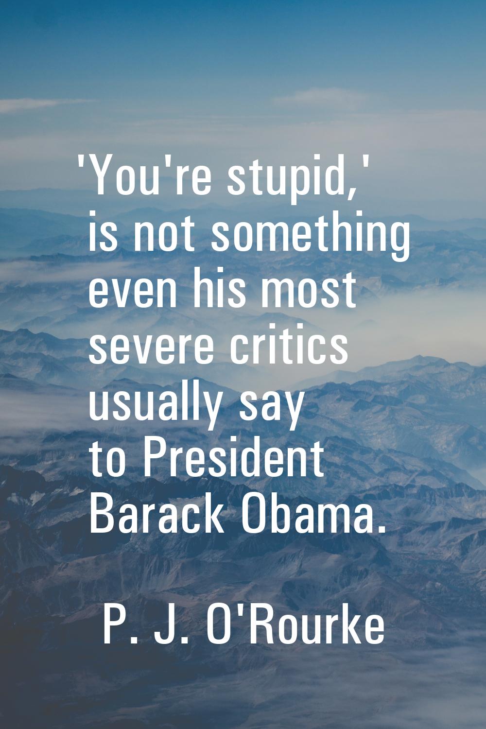 'You're stupid,' is not something even his most severe critics usually say to President Barack Obam