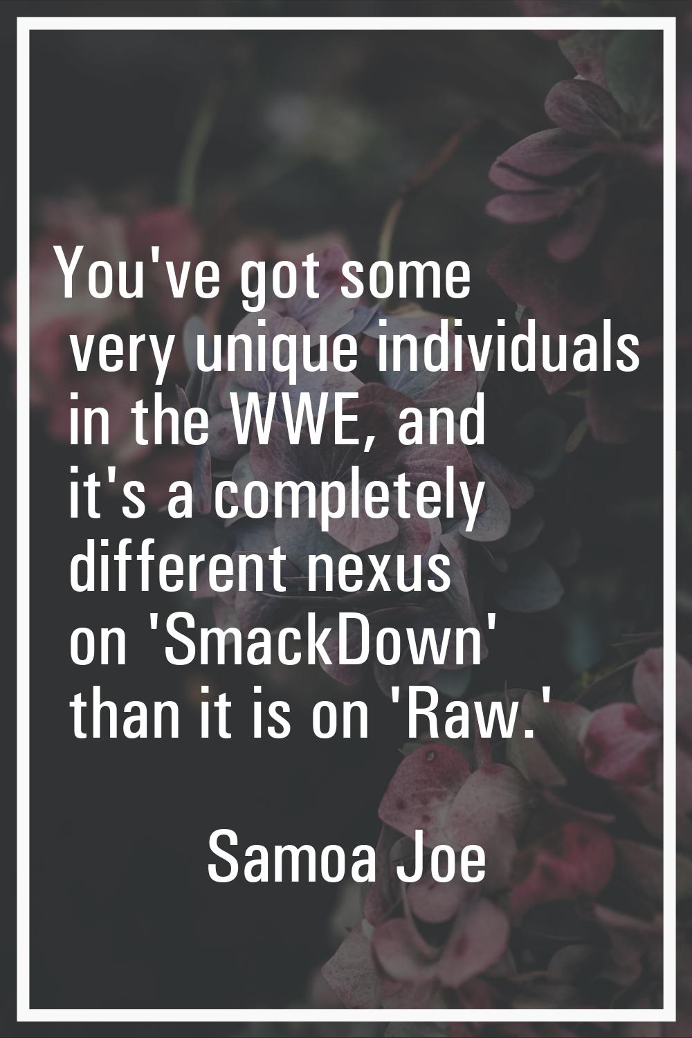 You've got some very unique individuals in the WWE, and it's a completely different nexus on 'Smack