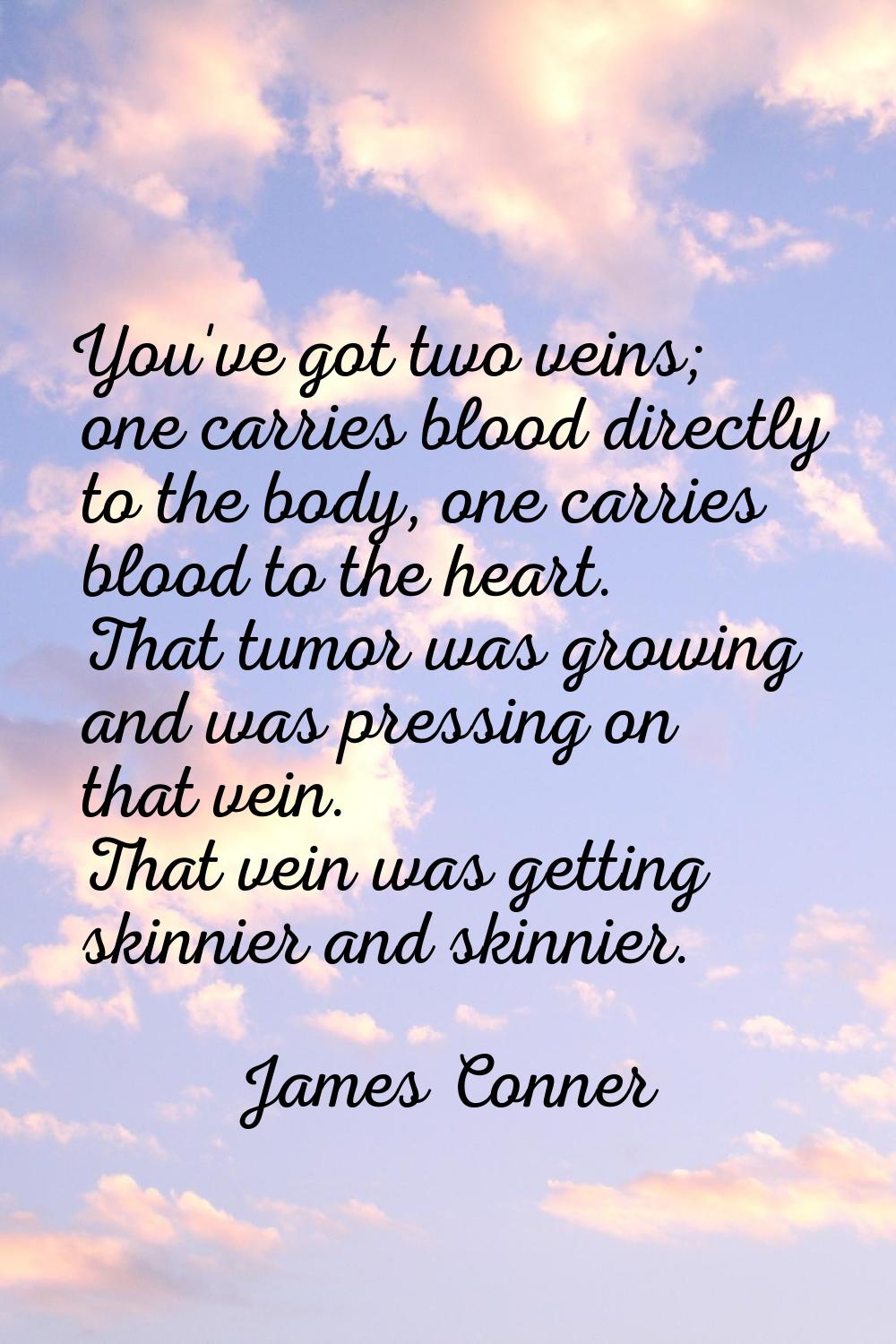 You've got two veins; one carries blood directly to the body, one carries blood to the heart. That 