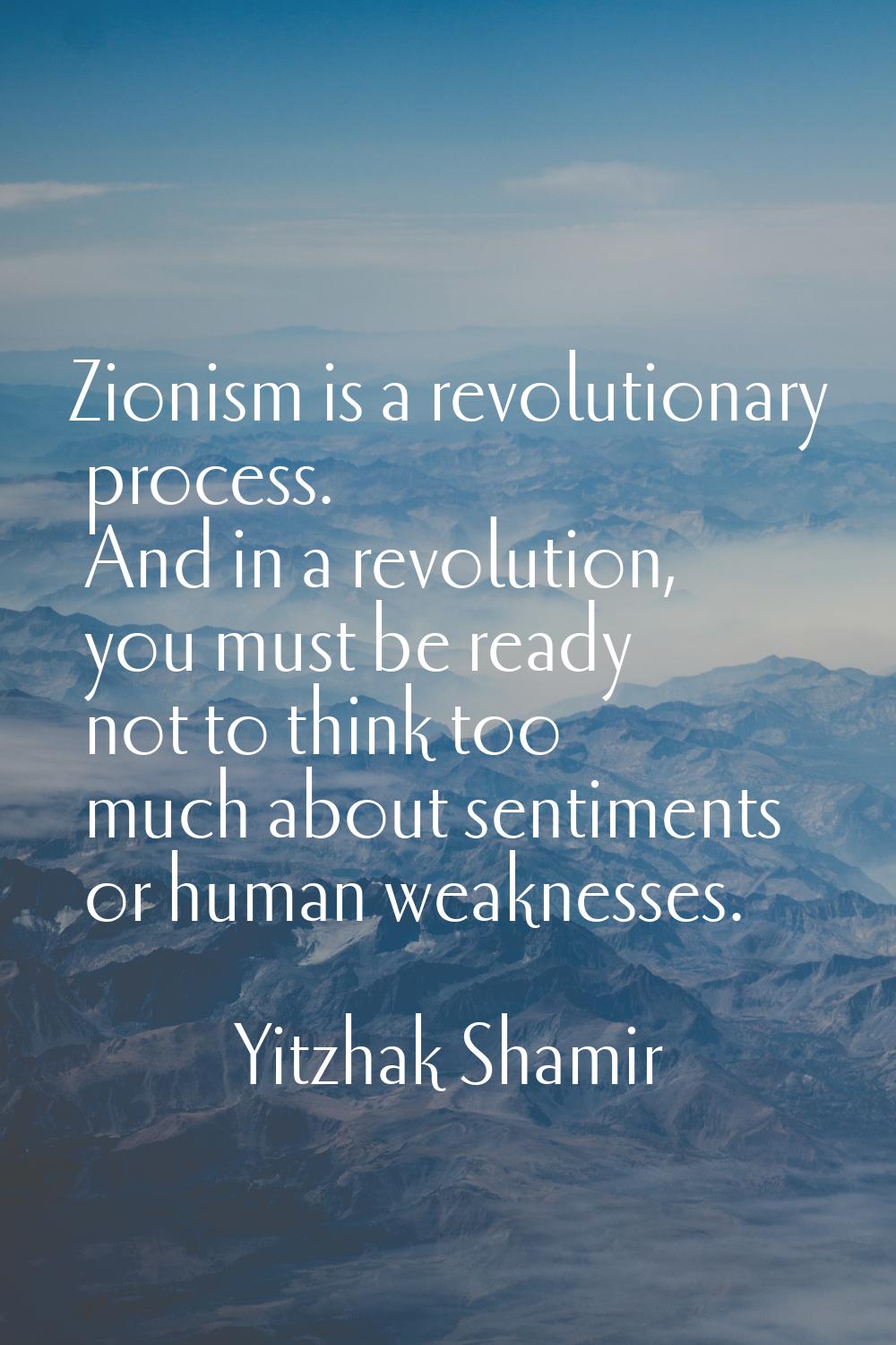 Zionism is a revolutionary process. And in a revolution, you must be ready not to think too much ab