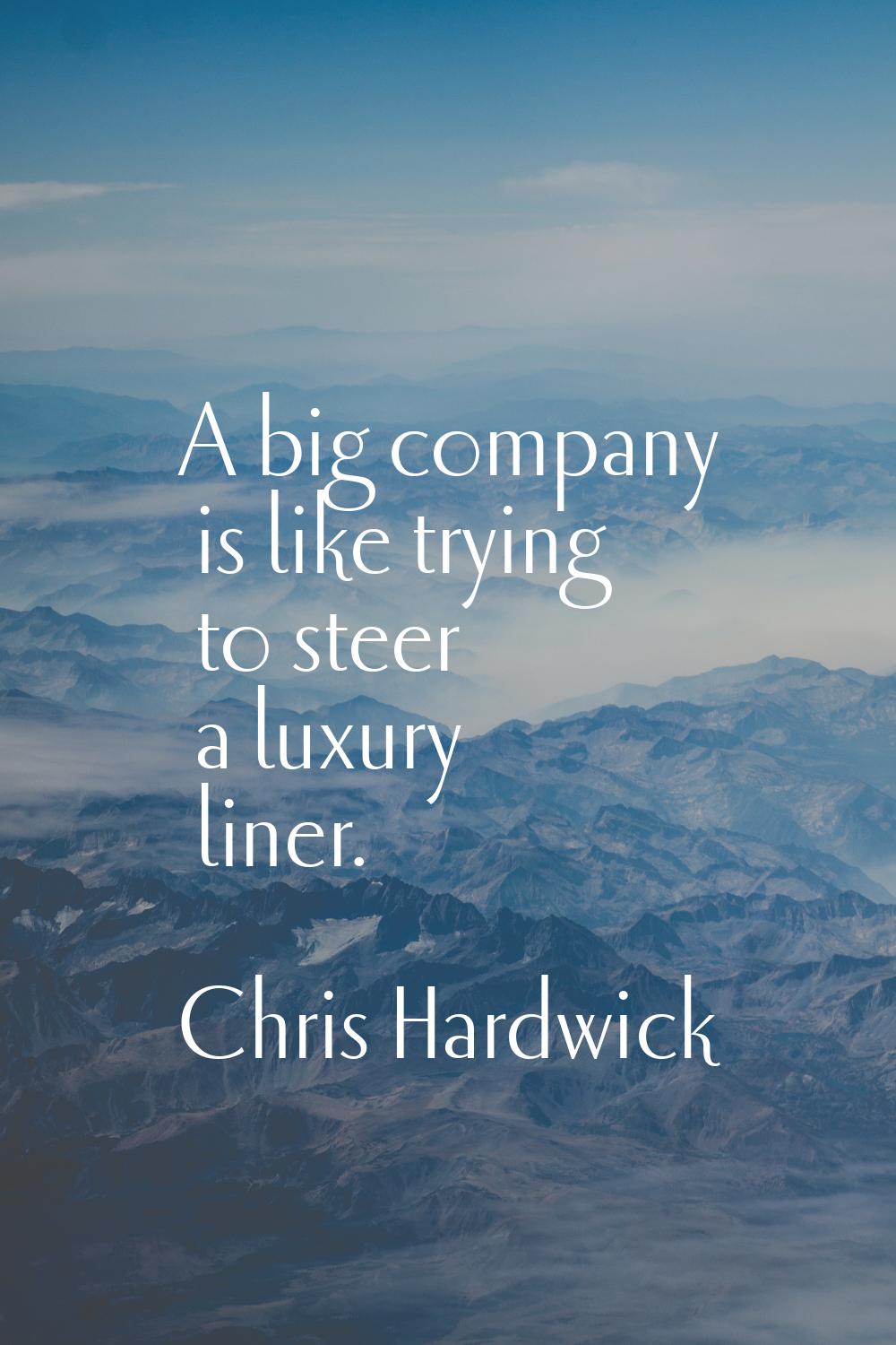A big company is like trying to steer a luxury liner.
