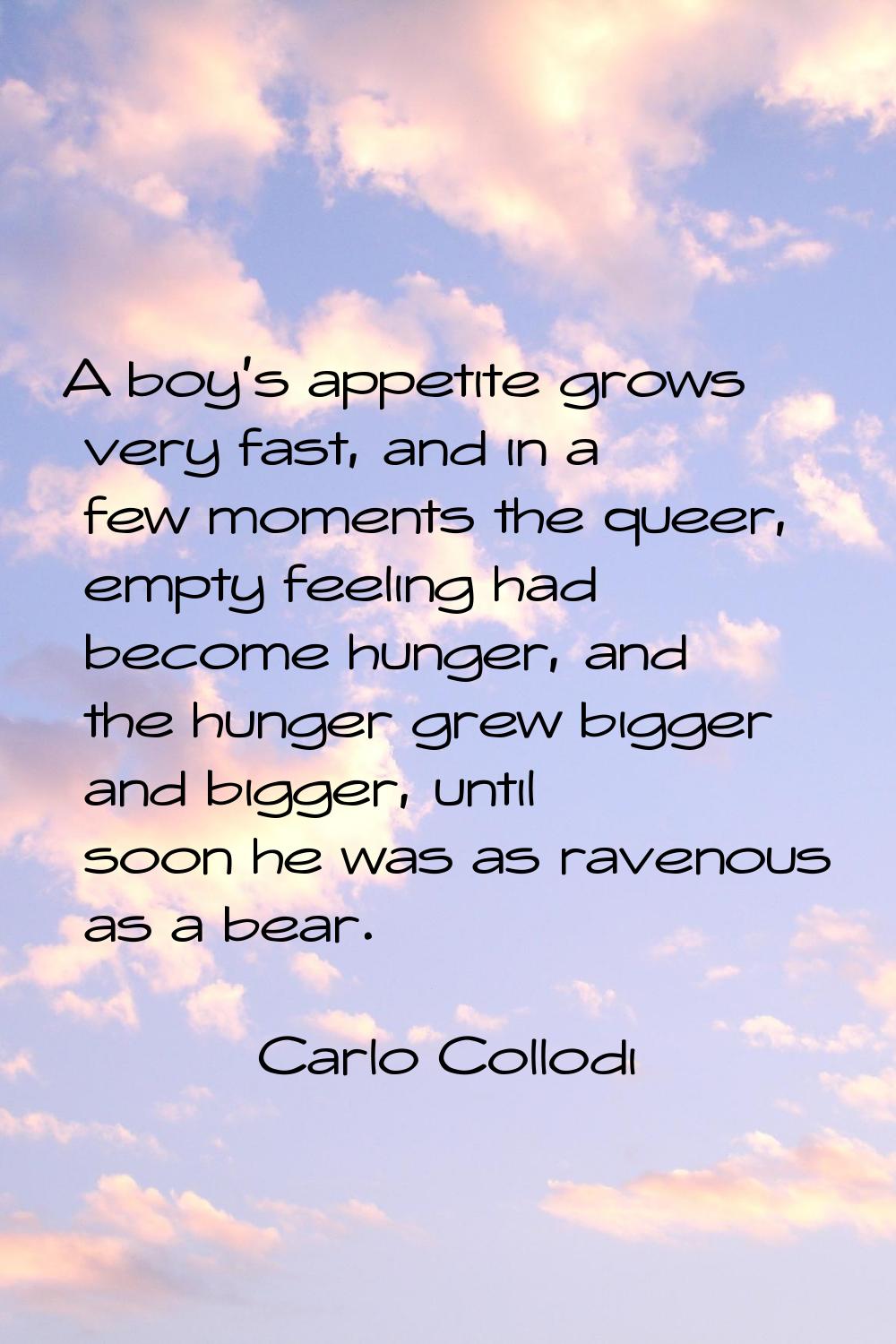 A boy's appetite grows very fast, and in a few moments the queer, empty feeling had become hunger, 