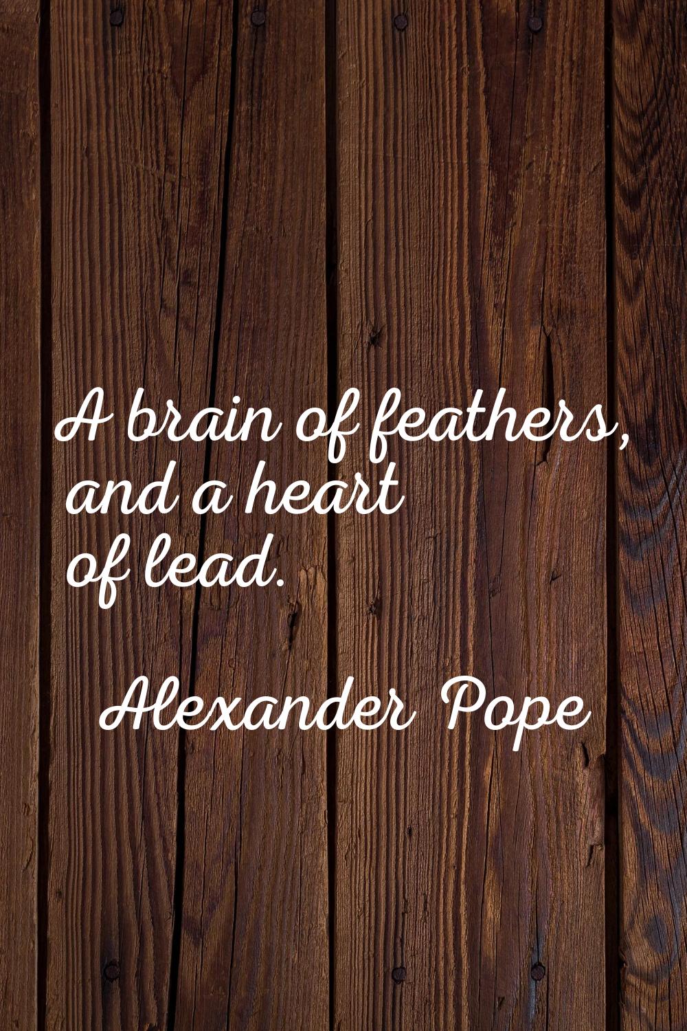 A brain of feathers, and a heart of lead.