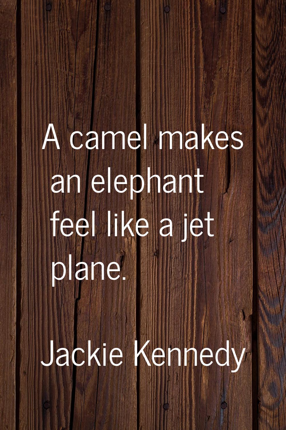 A camel makes an elephant feel like a jet plane.