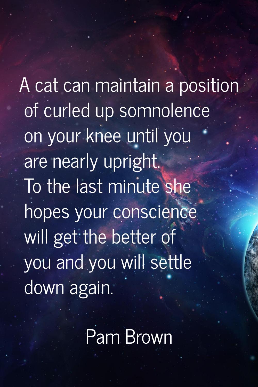 A cat can maintain a position of curled up somnolence on your knee until you are nearly upright. To