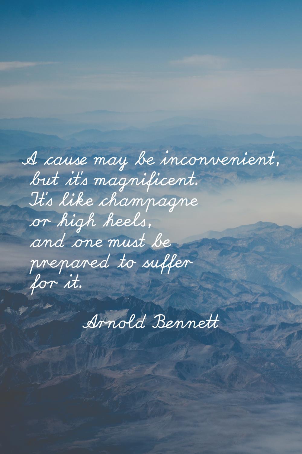 A cause may be inconvenient, but it's magnificent. It's like champagne or high heels, and one must 