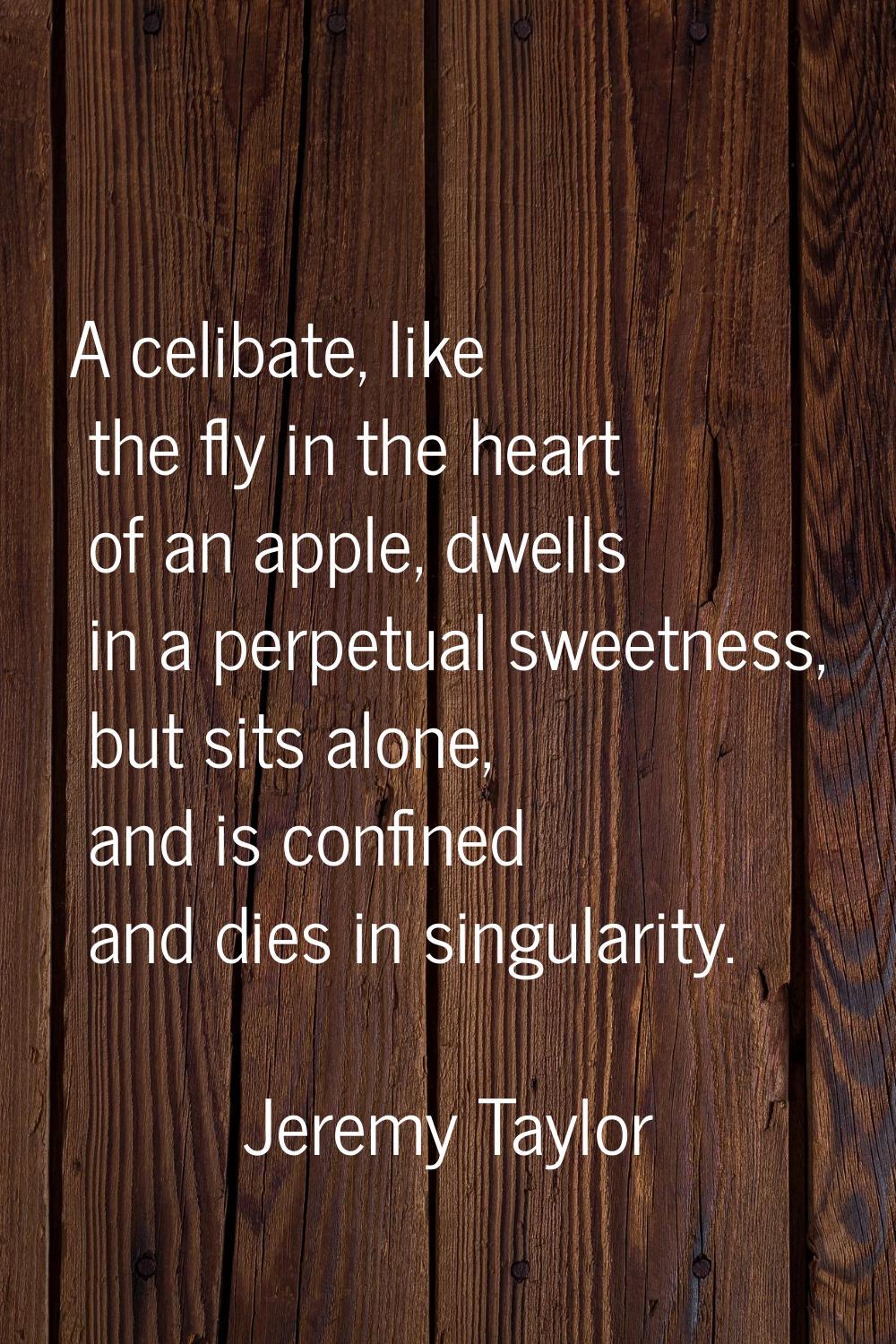 A celibate, like the fly in the heart of an apple, dwells in a perpetual sweetness, but sits alone,