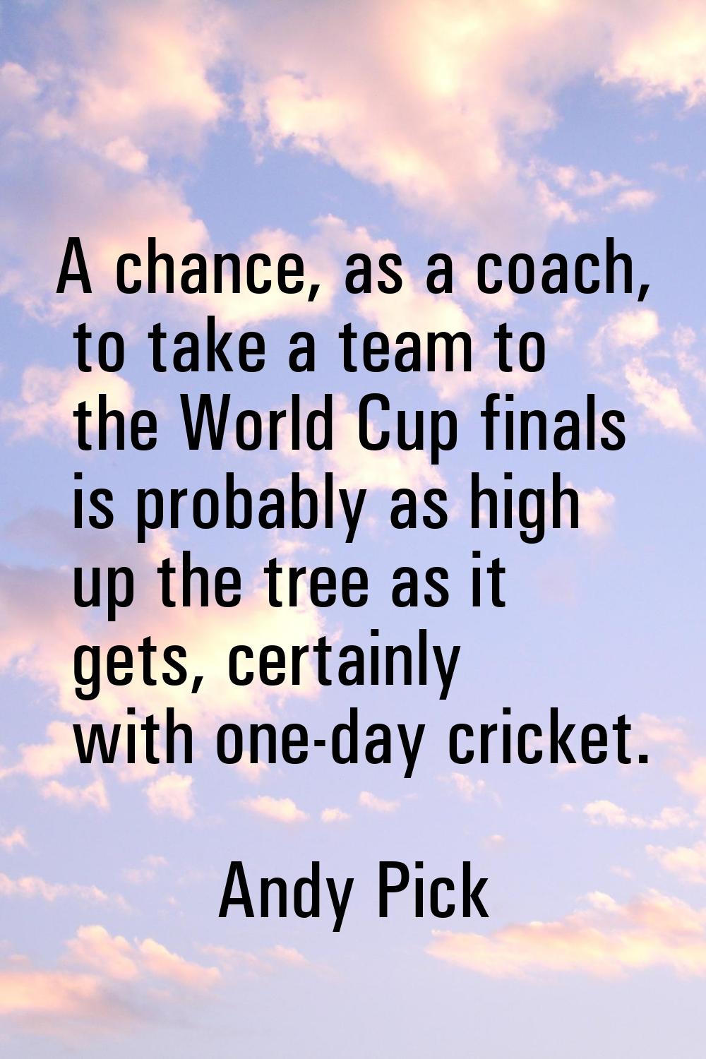 A chance, as a coach, to take a team to the World Cup finals is probably as high up the tree as it 