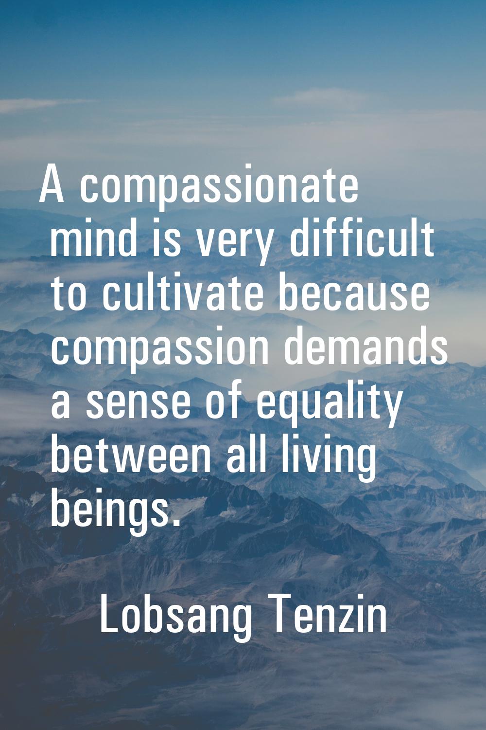 A compassionate mind is very difficult to cultivate because compassion demands a sense of equality 