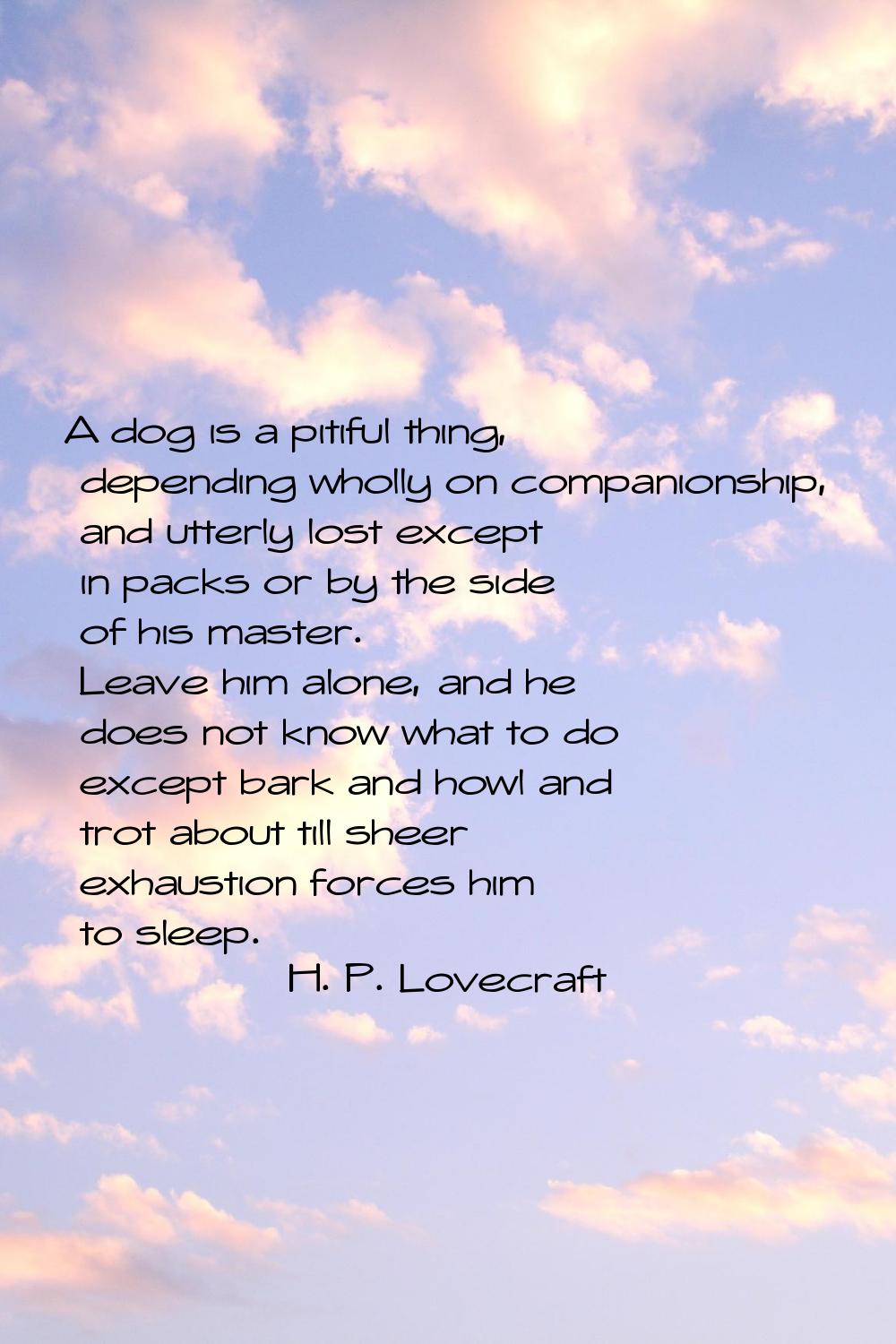 A dog is a pitiful thing, depending wholly on companionship, and utterly lost except in packs or by
