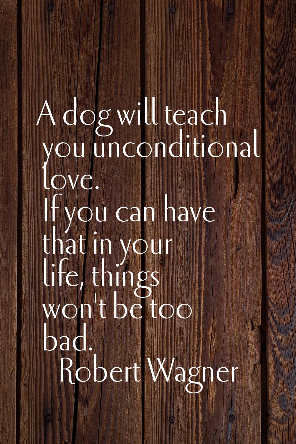 A dog will teach you unconditional love. If you can have that in your life, things won't be too bad
