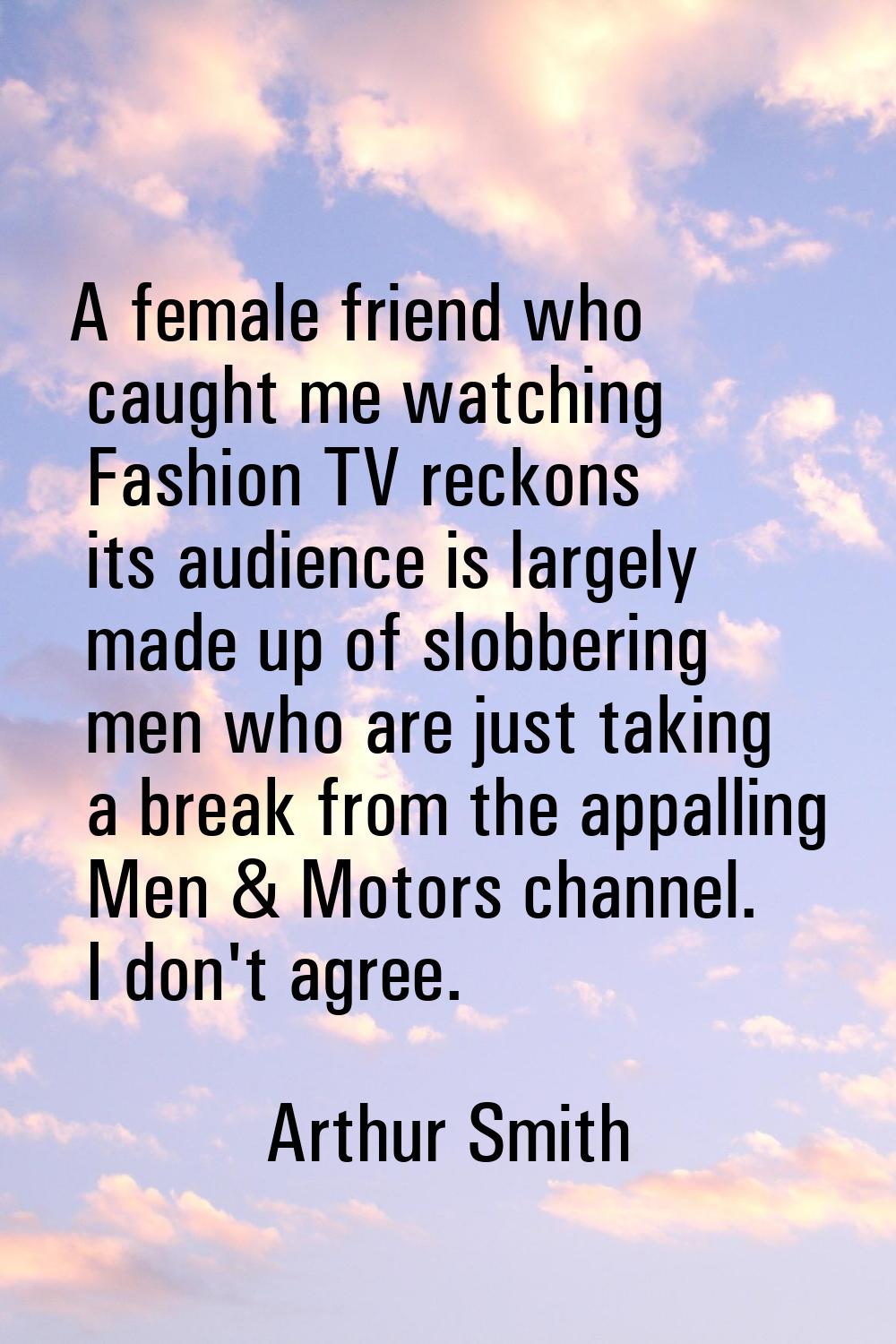 A female friend who caught me watching Fashion TV reckons its audience is largely made up of slobbe