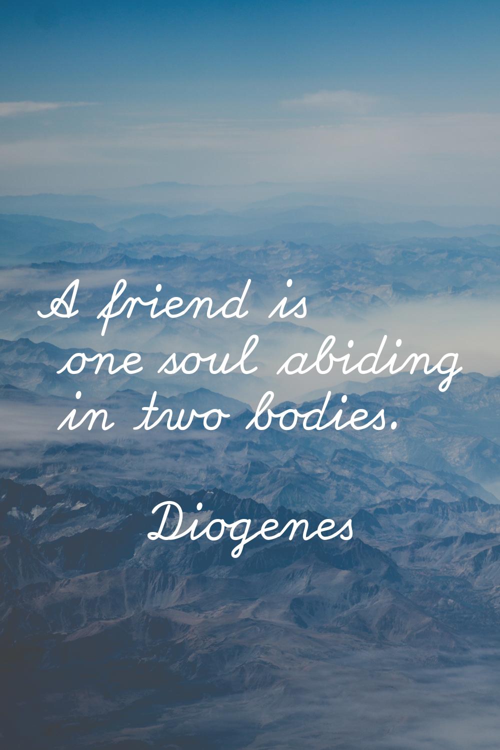 A friend is one soul abiding in two bodies.