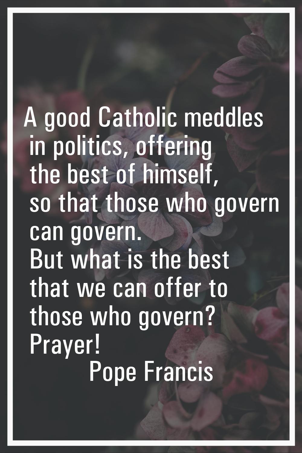 A good Catholic meddles in politics, offering the best of himself, so that those who govern can gov