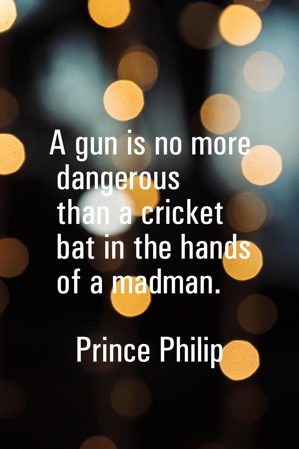 A gun is no more dangerous than a cricket bat in the hands of a madman.